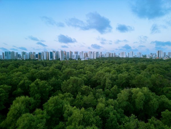 Alimentation écoresponsable : astuces pour adapter notre cuisine face au climat en mutation